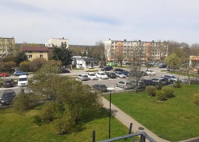Green Ap Nalkowskich